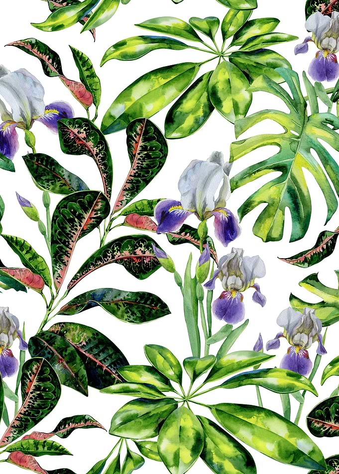 Watercolor Tropical Pat 12