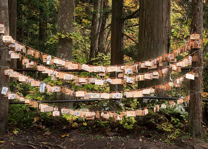 Japanese shrine blessing