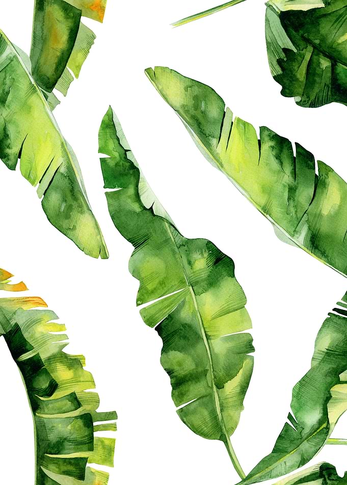 Watercolor Tropical Pat 13