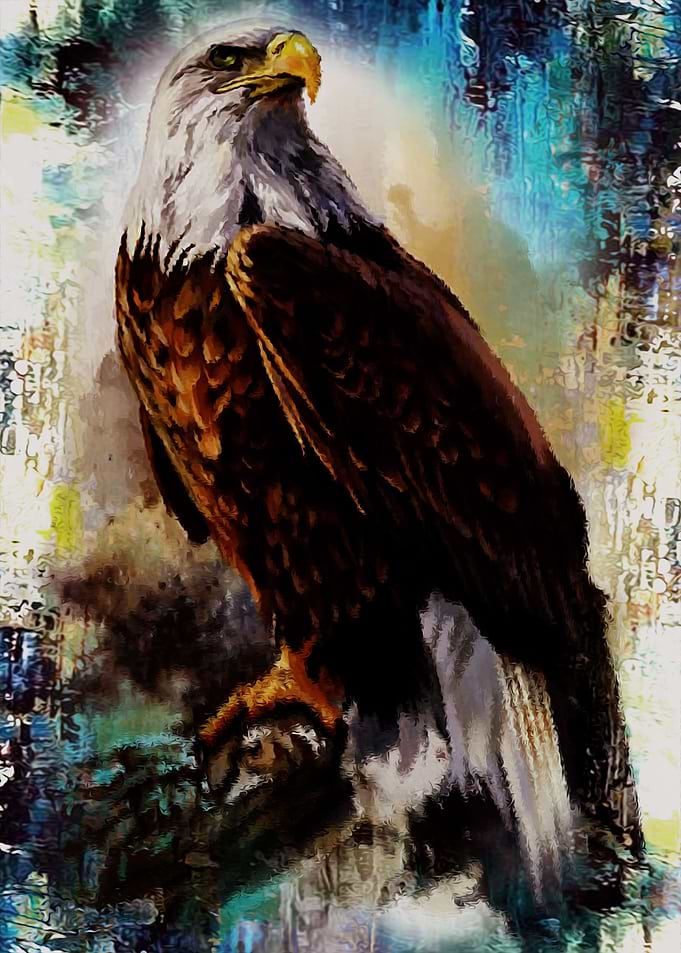 eagle 2