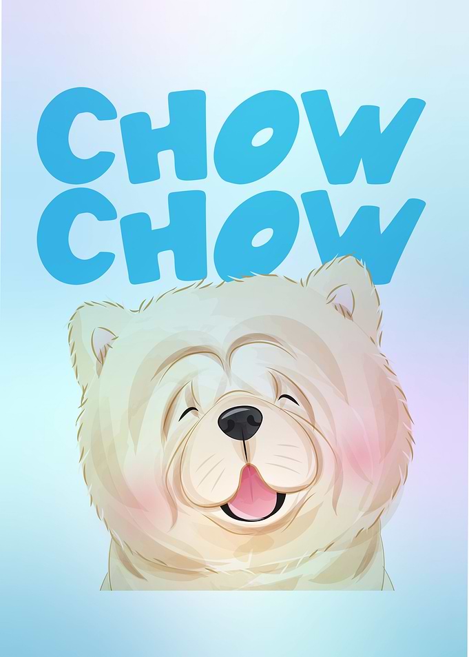 Sweet cute Chow chow