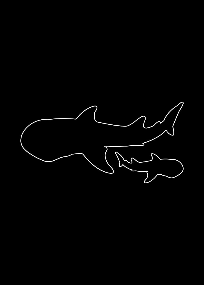 Whale Shark