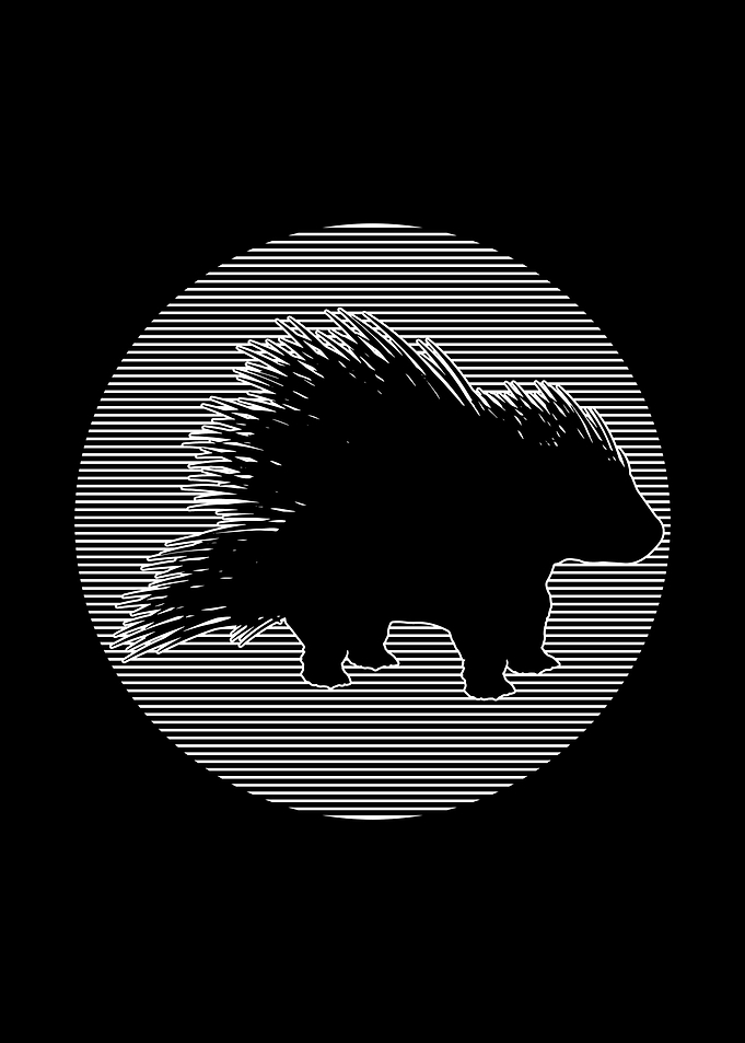 Porcupine