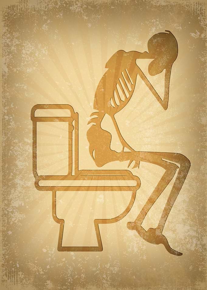 Toilet Quotes