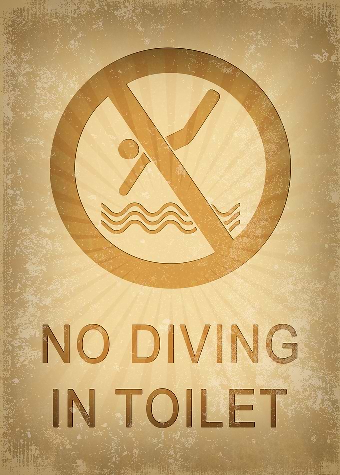 Toilet Quotes