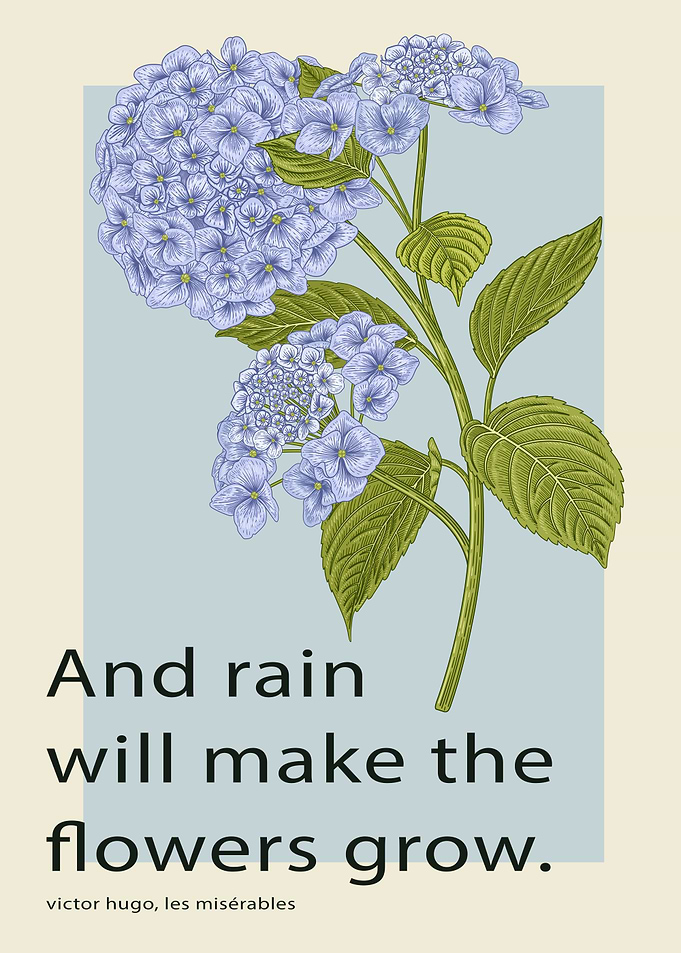 victor hugo quote
