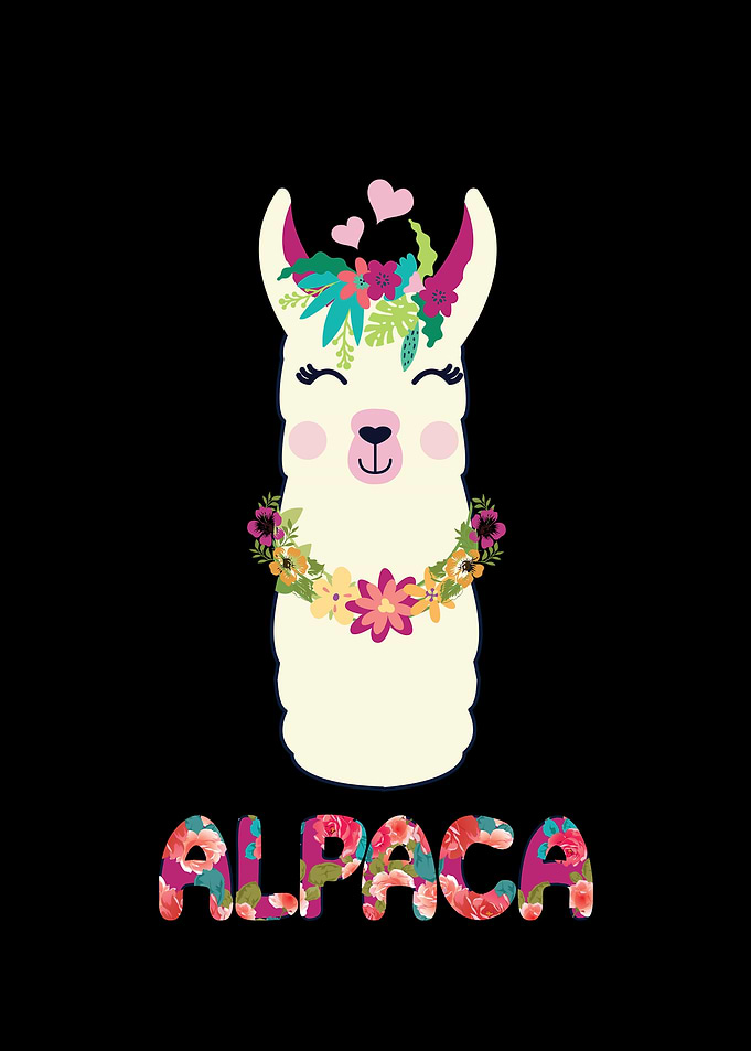 Alpaca