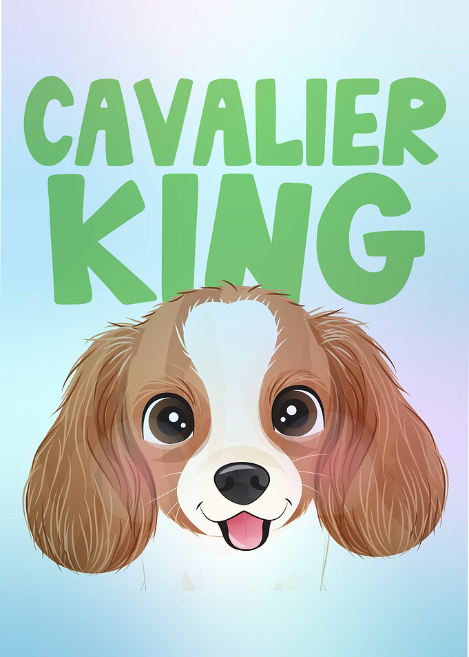 Cute little cavalier king