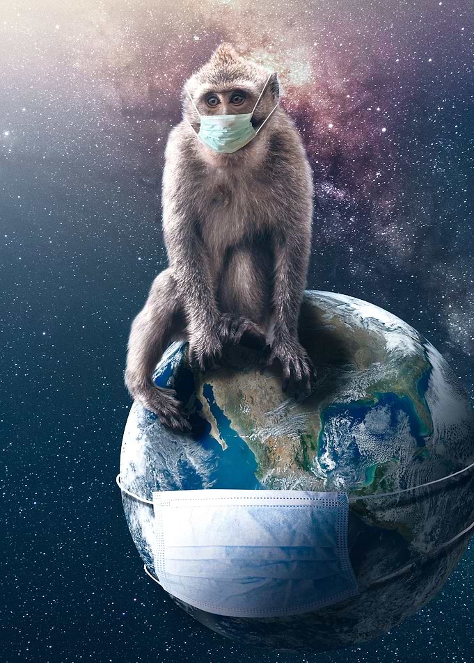 PAndemic Survival