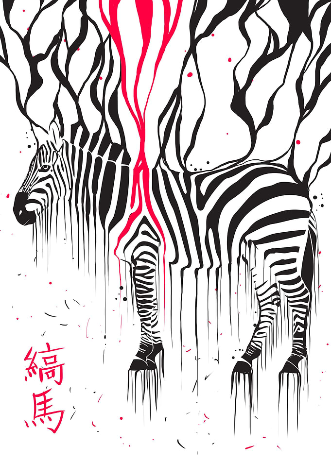 Zebra