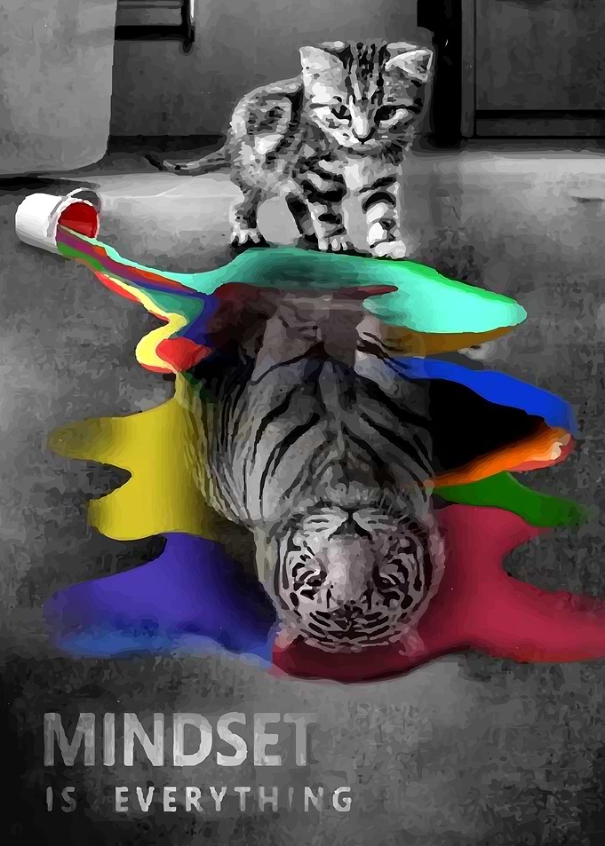 Mindset is Everything Cat