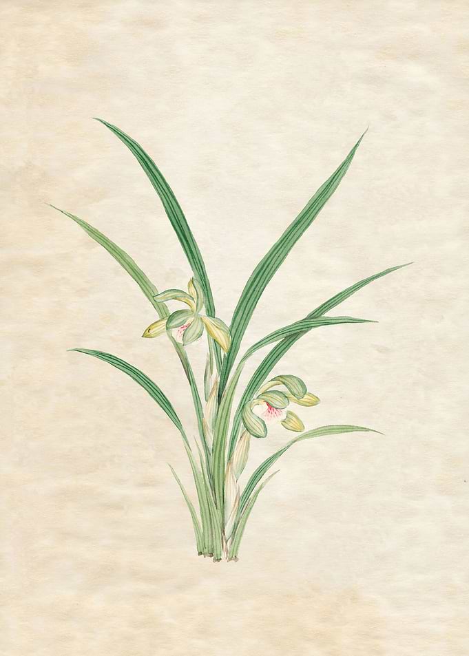 Mirau March