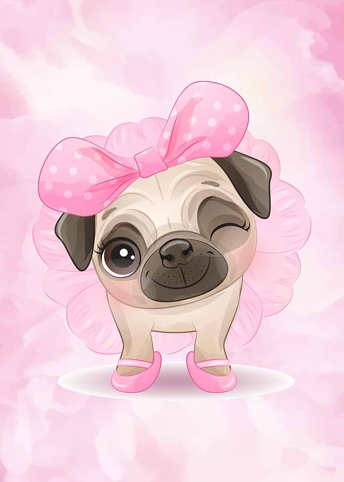 Sweet cute pug puppy