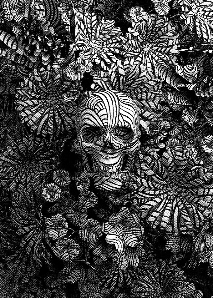 Engraved Skull