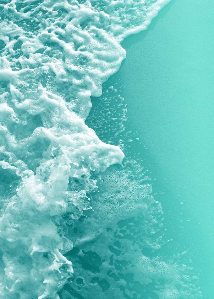 Ocean Beauty 6