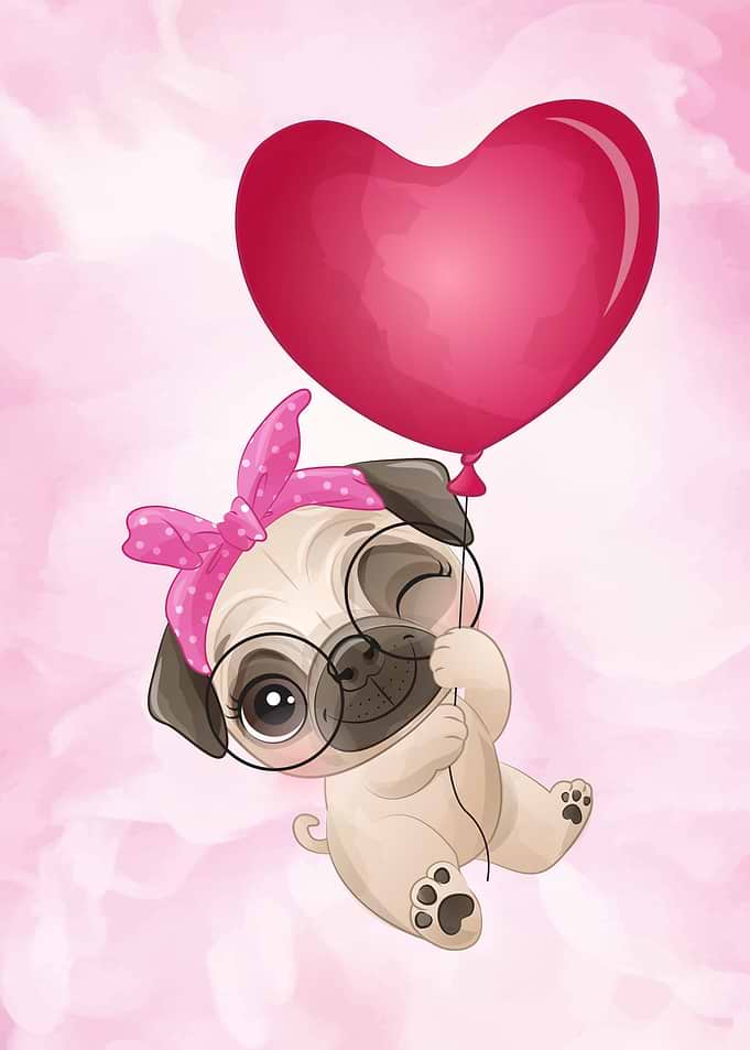 Sweet cute pug puppy