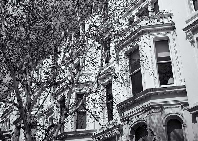 Bay Windows