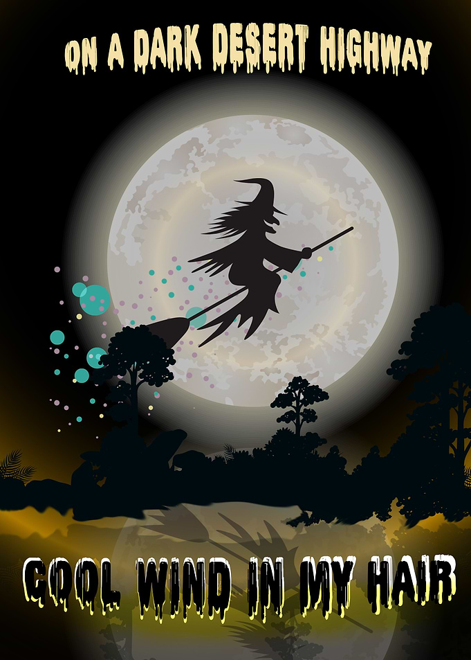 Witch Costume flying hallo
