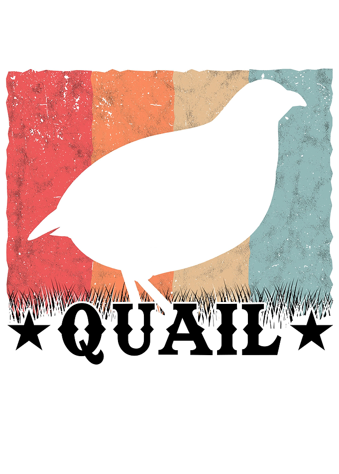 Quail Retro Breeder Hen