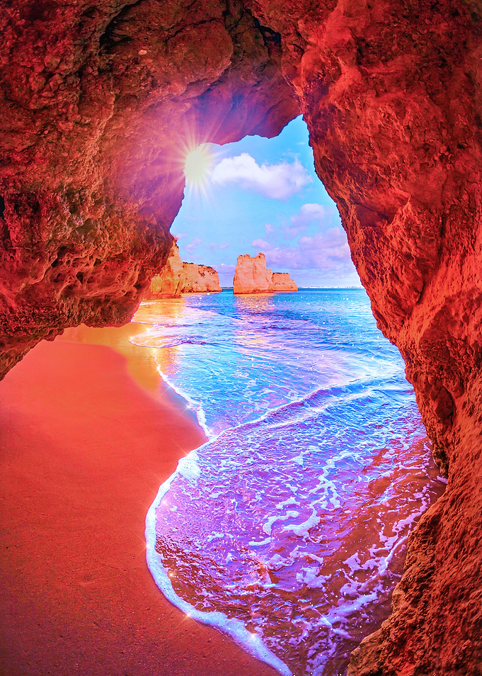 Colorful Ocean Paradise