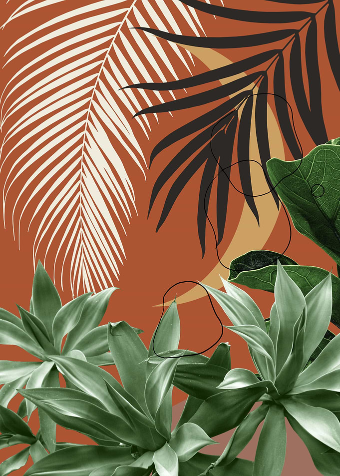 Minimal Moon Agave Palm 2