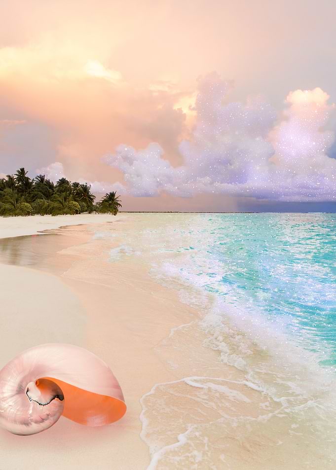 Seashell Ocean Paradise
