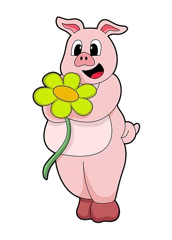 Pig Flower