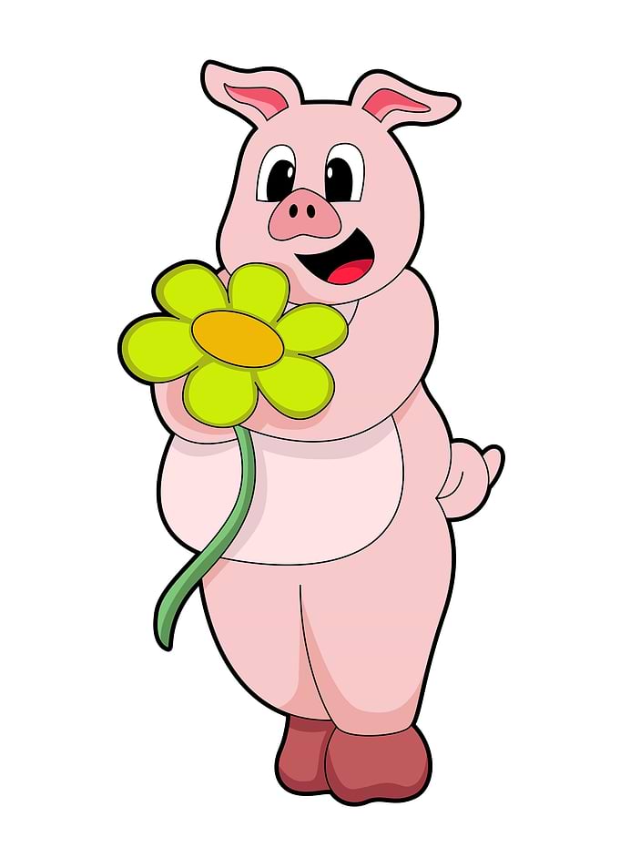 Pig Flower