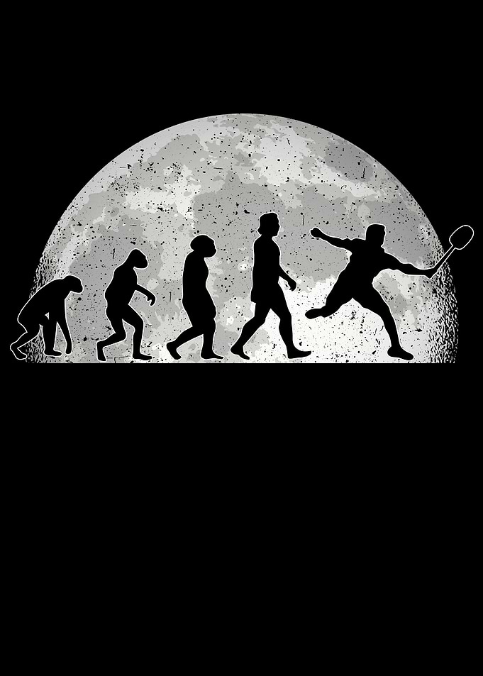 Shuttlecock Moon Evolution