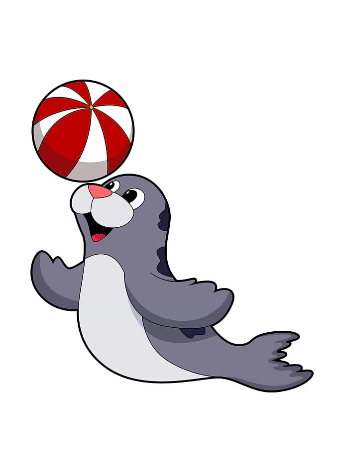 Seal Water polo