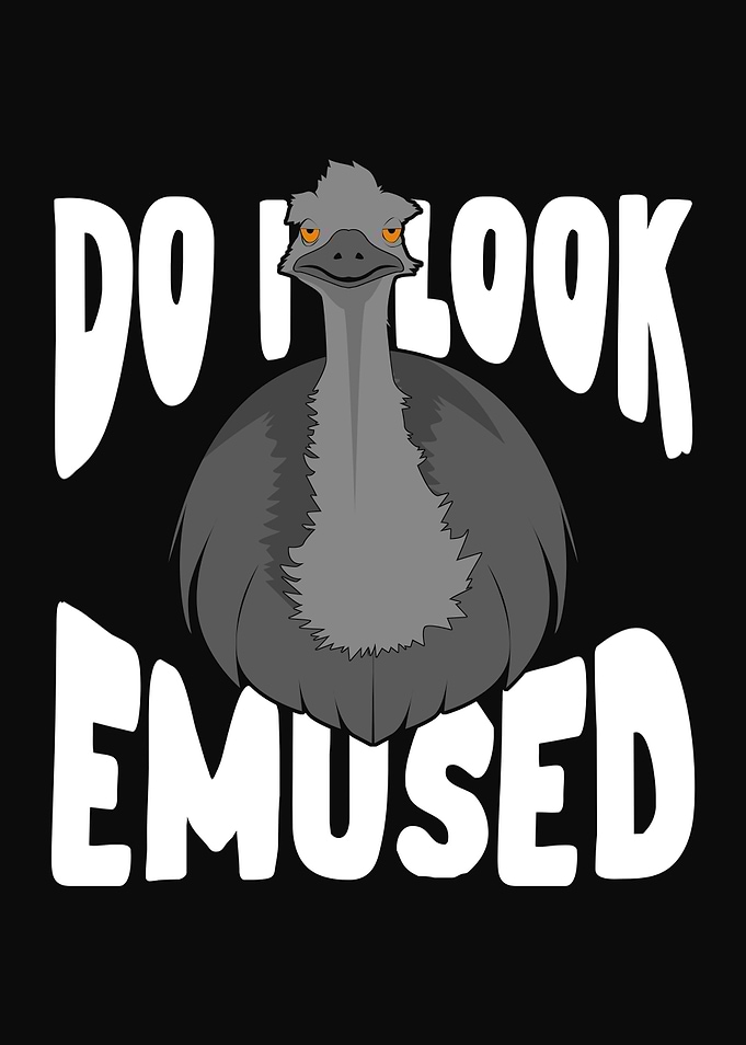 Do I Look Emused