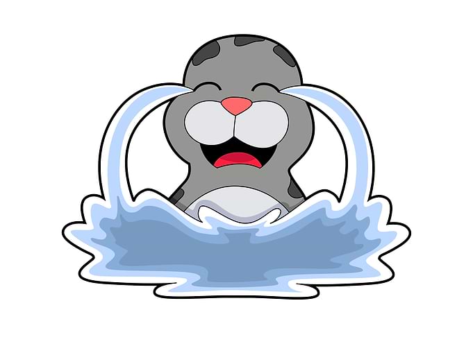 Seal Water
