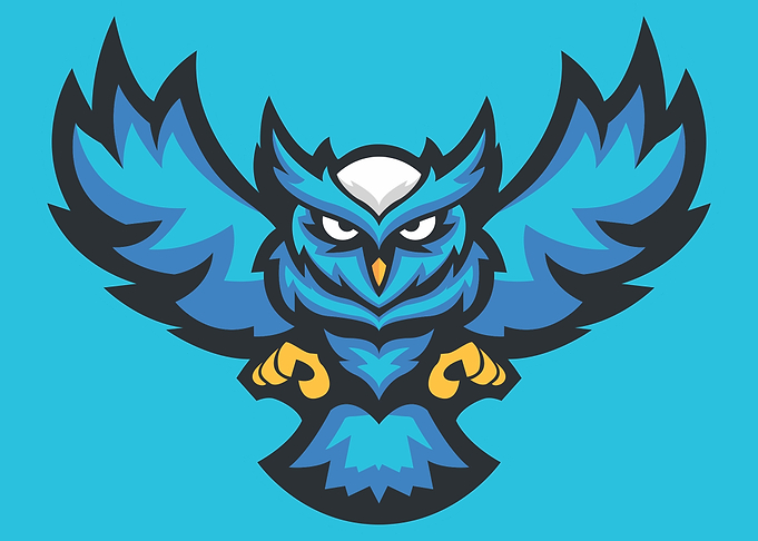 Owl Winged Animal