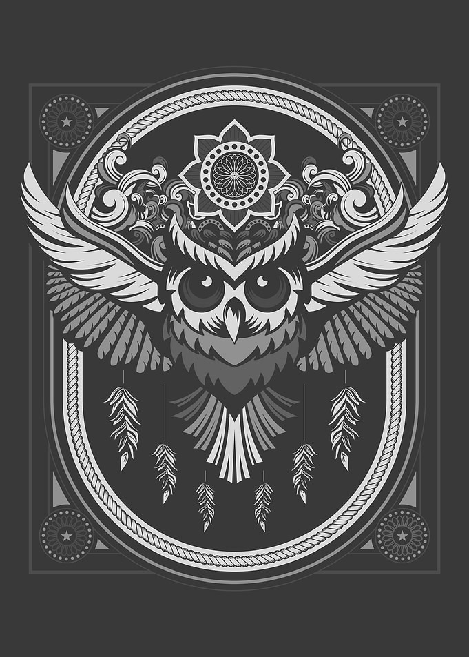 Owl Winged Animal