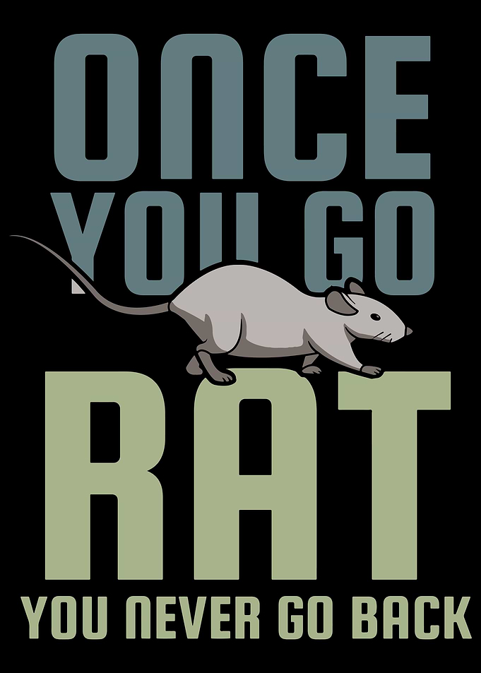 Rats Rat Lover Rodent
