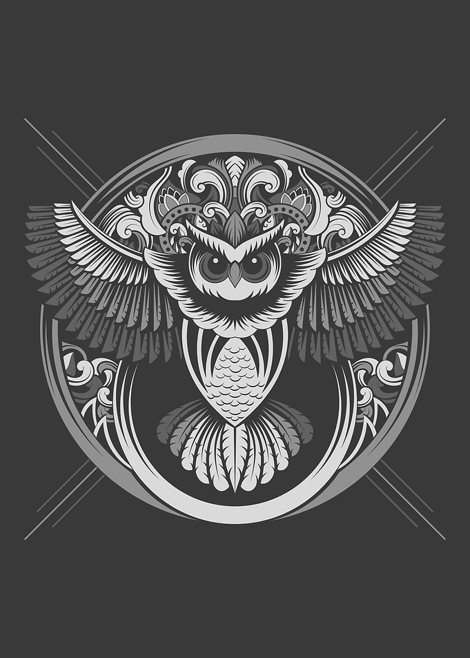 Owl Winged Animal