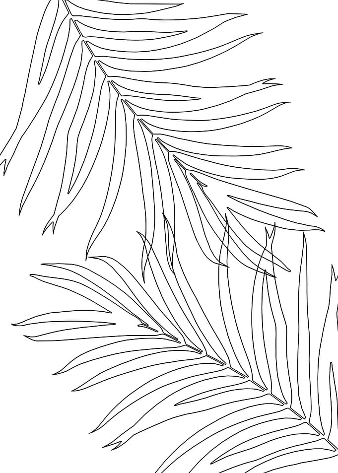 Palm Leaves Line Art 1