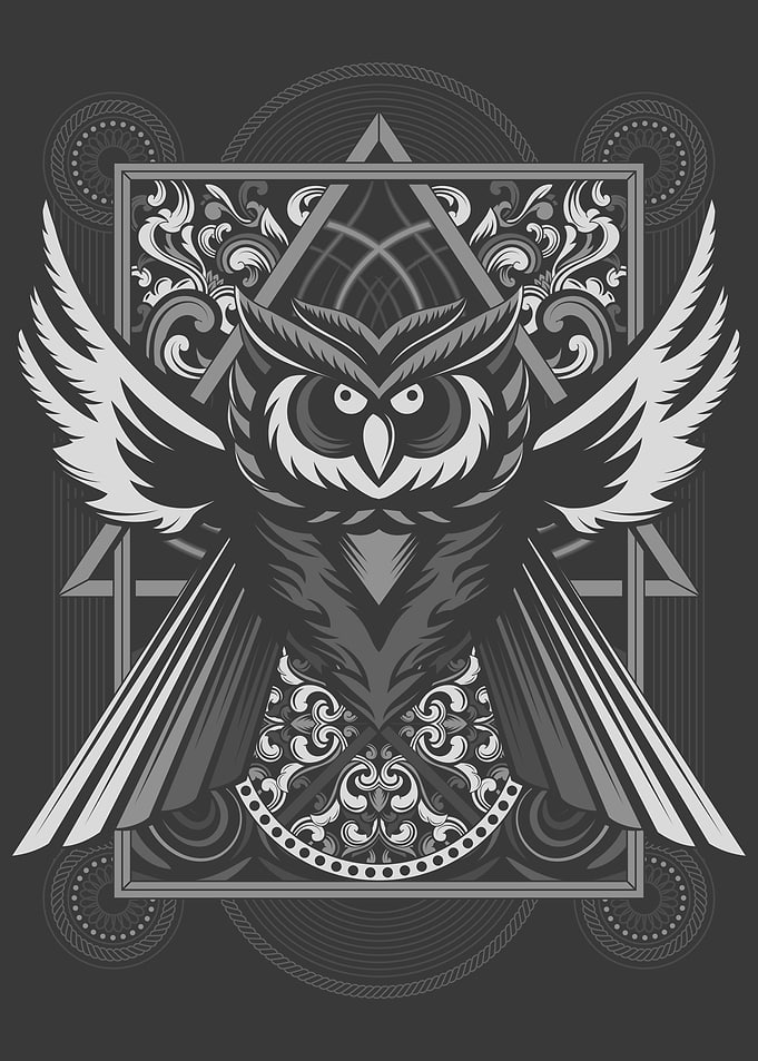 Owl Winged Animal