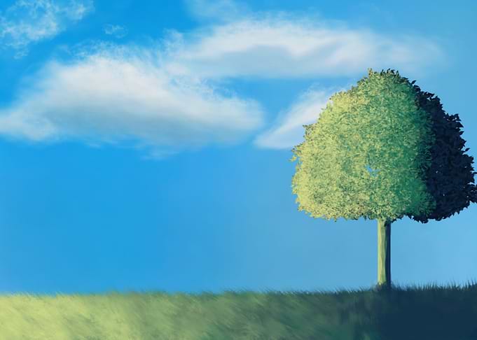 Flat Landscape