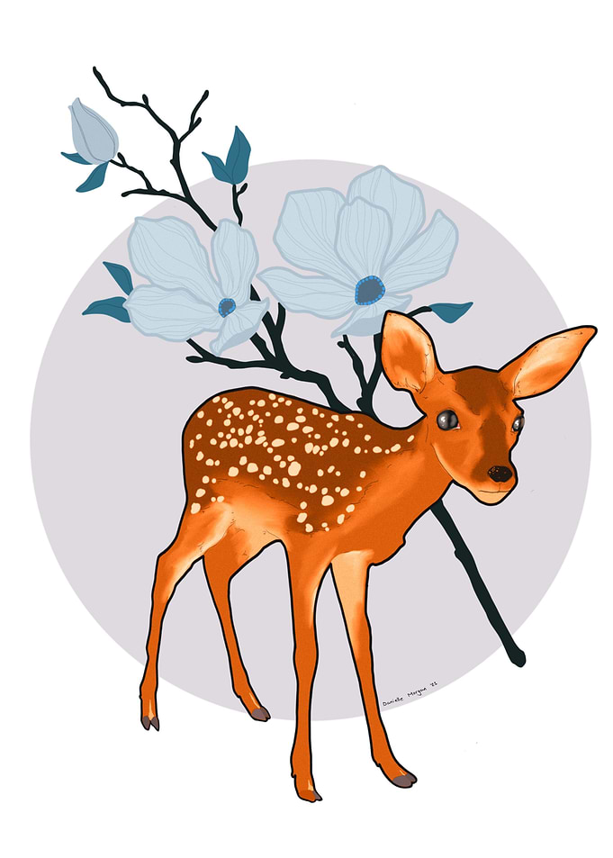 Fawn digital illustration