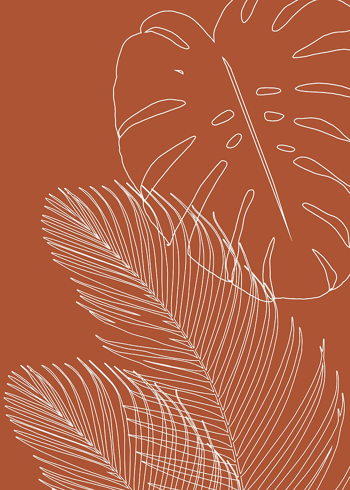 Monstera Palm Finesse 3