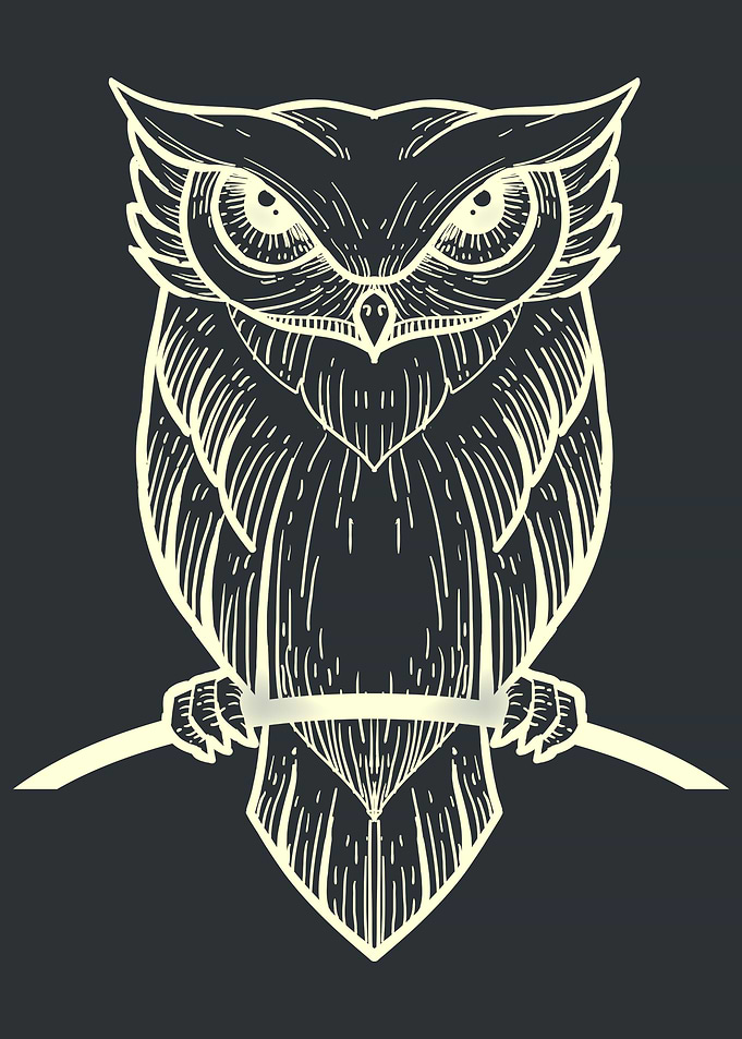 Owl Winged Animal