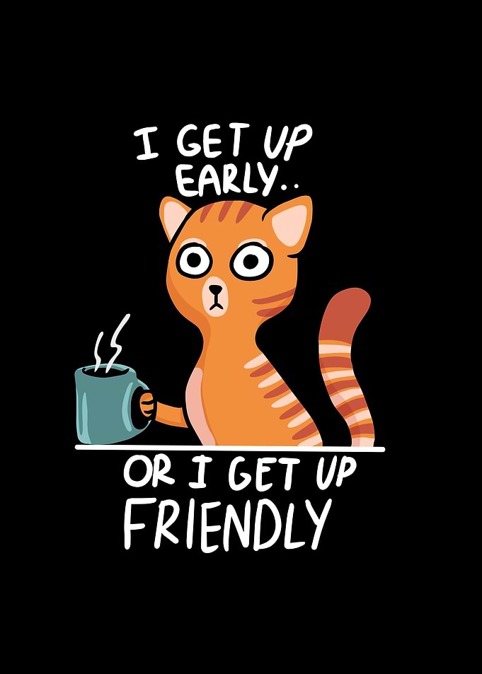 Cat In The Morning Too