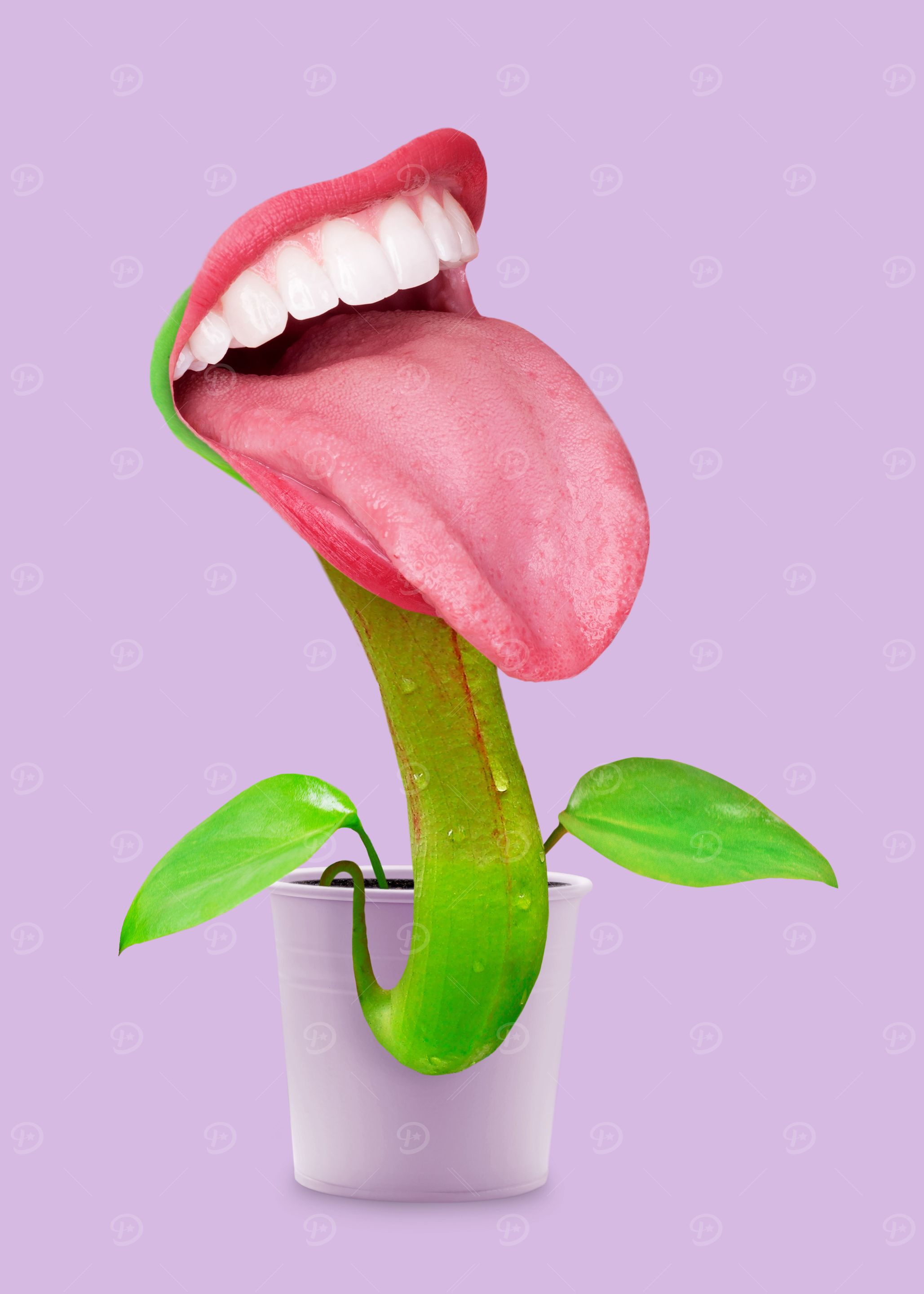 Carnivorous Plant