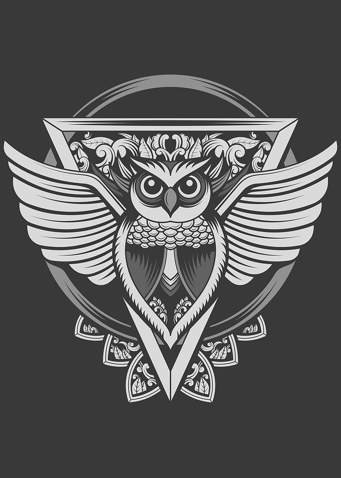Owl Winged Animal