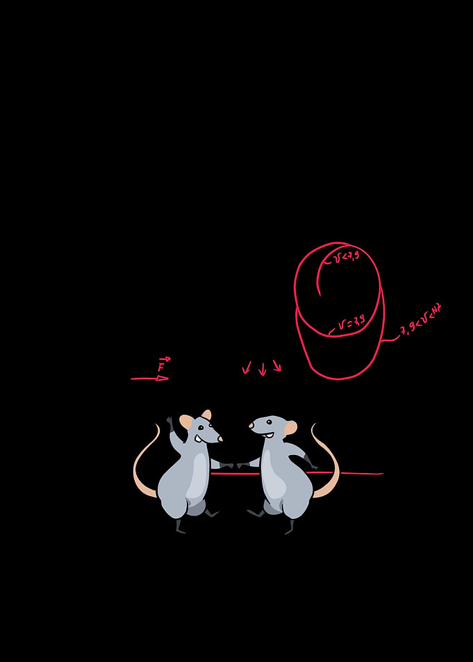 Mathematics Rats World
