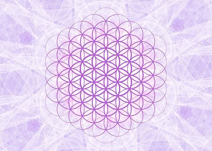 Violet Flower of Life