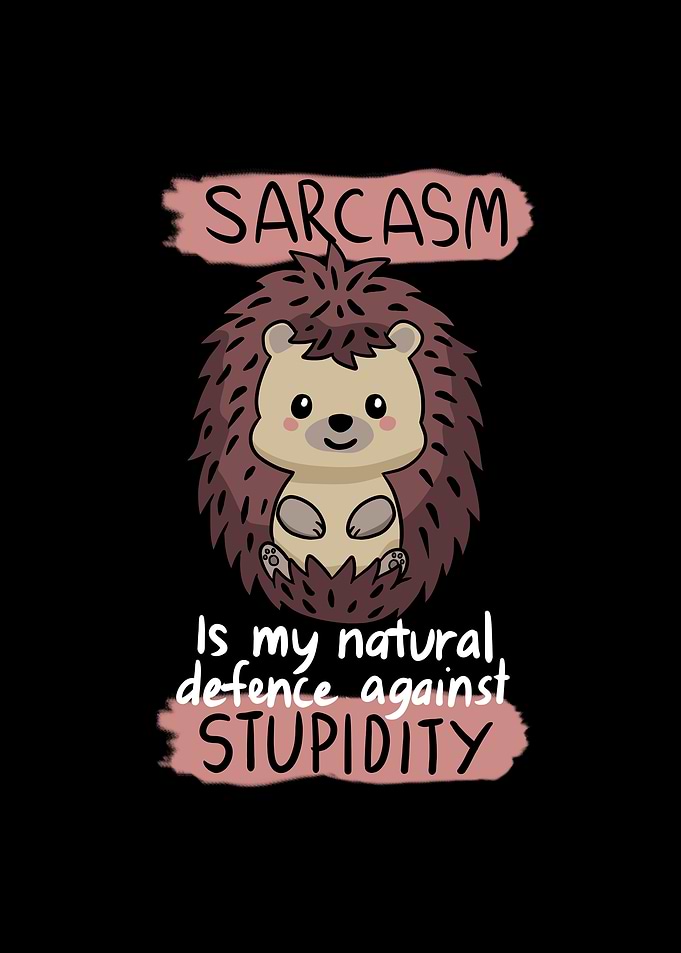 Hedgehog Funny Sarcasm