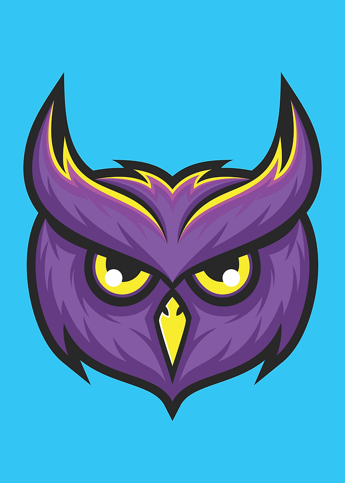 Owl Winged Animal