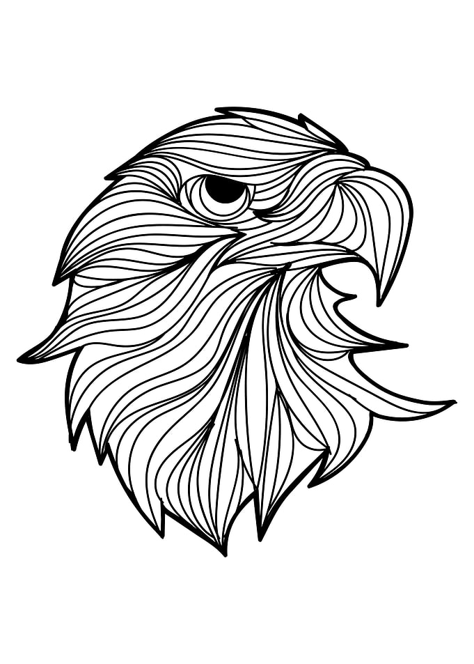 Eagle